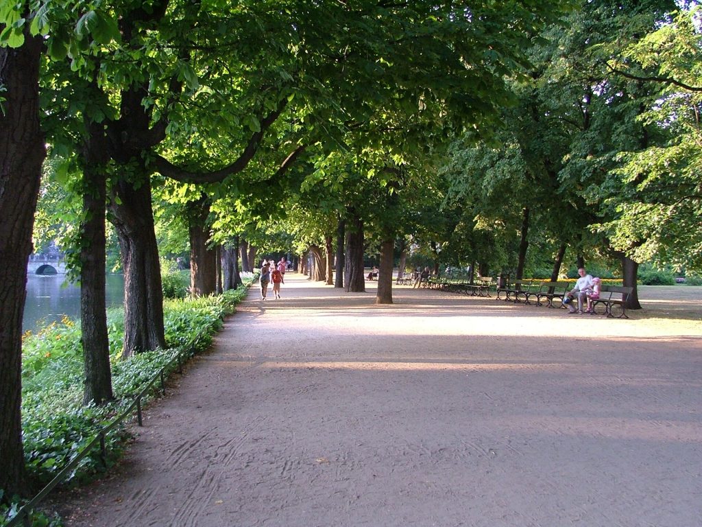 Varşova'da Lazienki parkı