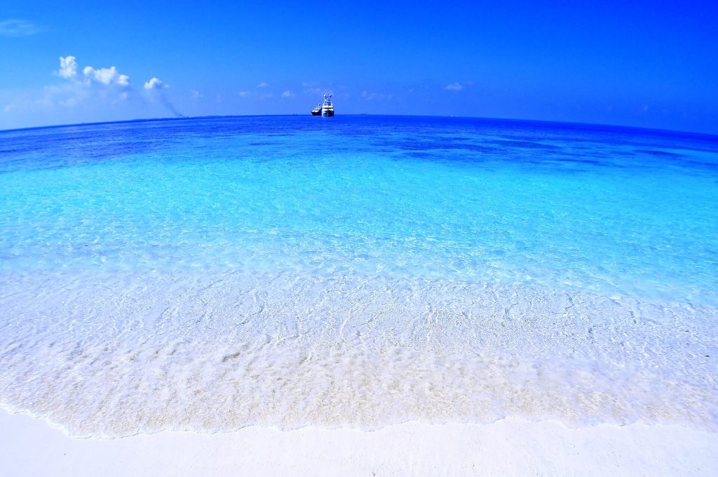 Maldiv: mərcan rifi və snorkelinq