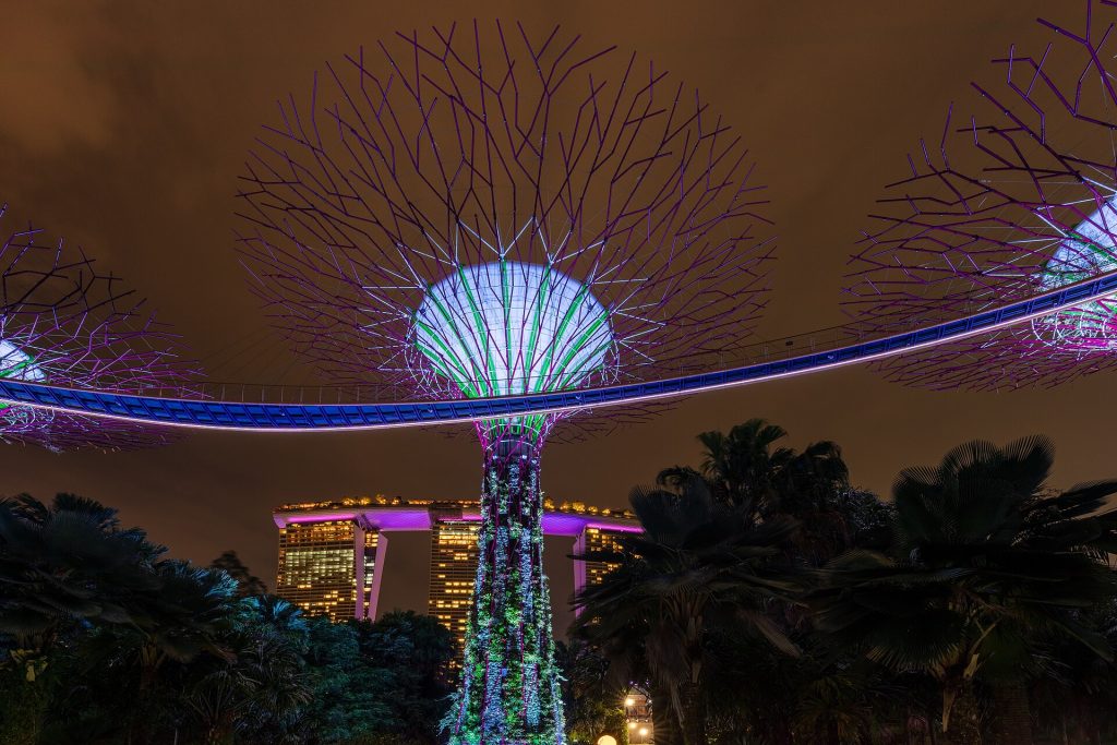 Sinqapur: Gardens by the Bay, Supertree bağı