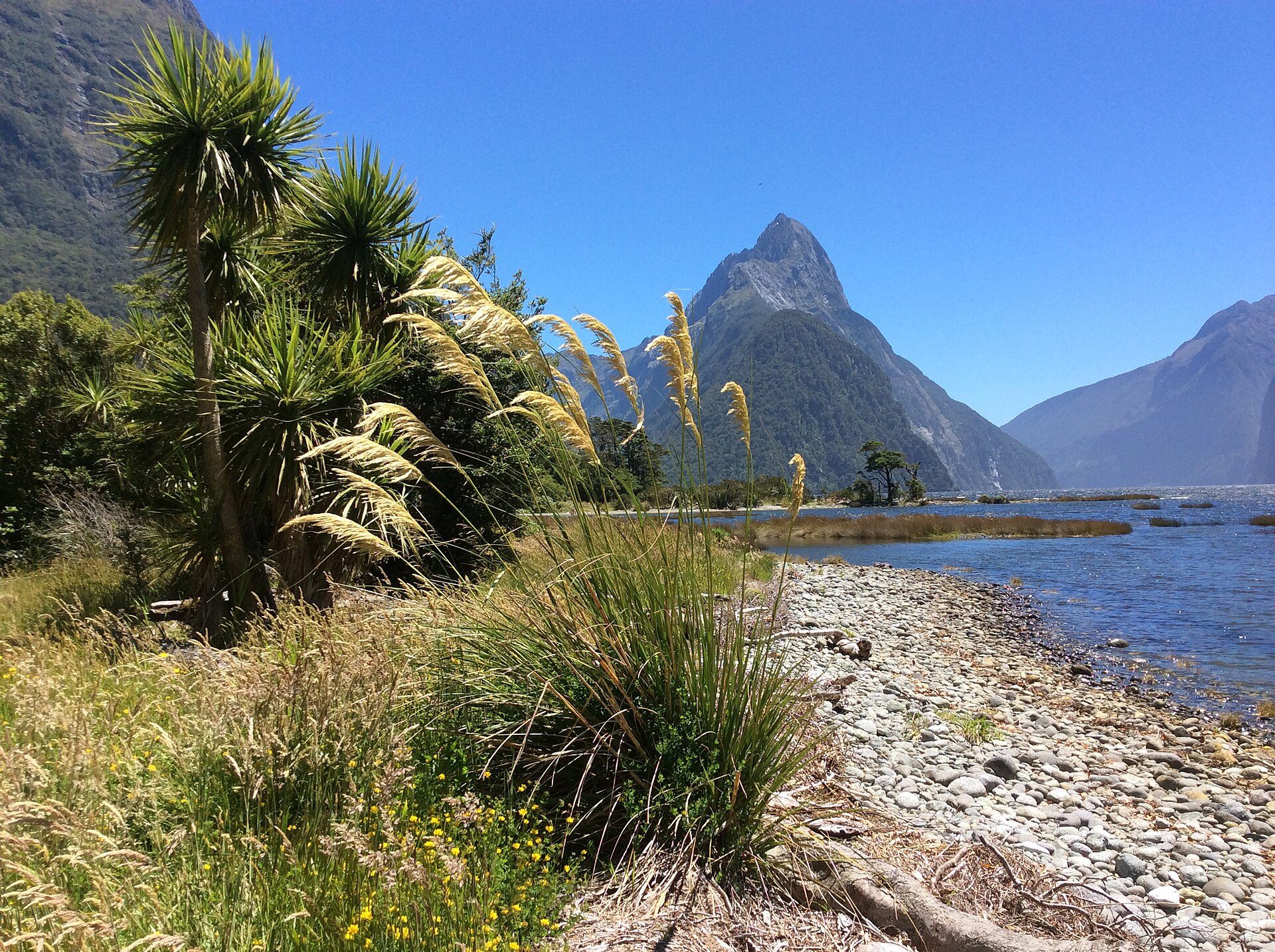 Yeni Zelandiya səyahət bələdçisi: Kuinstaun, Milford Sound, Rotorua, Hobbiton və kempervan marşrutu