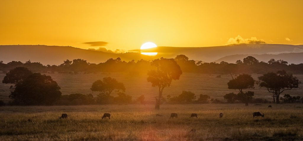 Keniyada Masai Mara savannası gün batımında — Keniya vizası