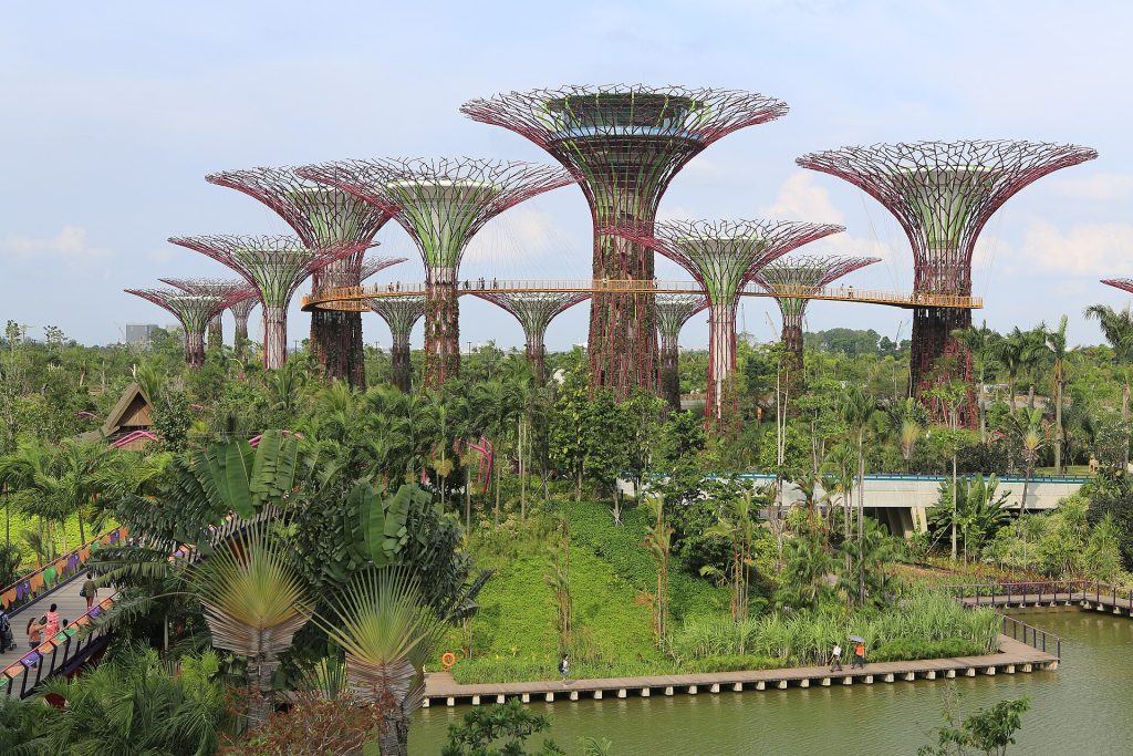 Гигантские древовидные конструкции парка Gardens by the Bay в Сингапуре — виза в Сингапур