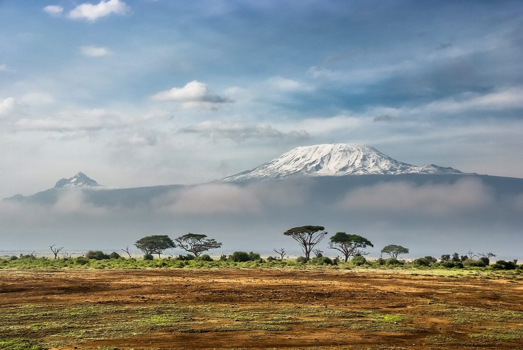 Tanzaniyada qarlı Kilimancaro dağı və savanna — Tanzaniya vizası