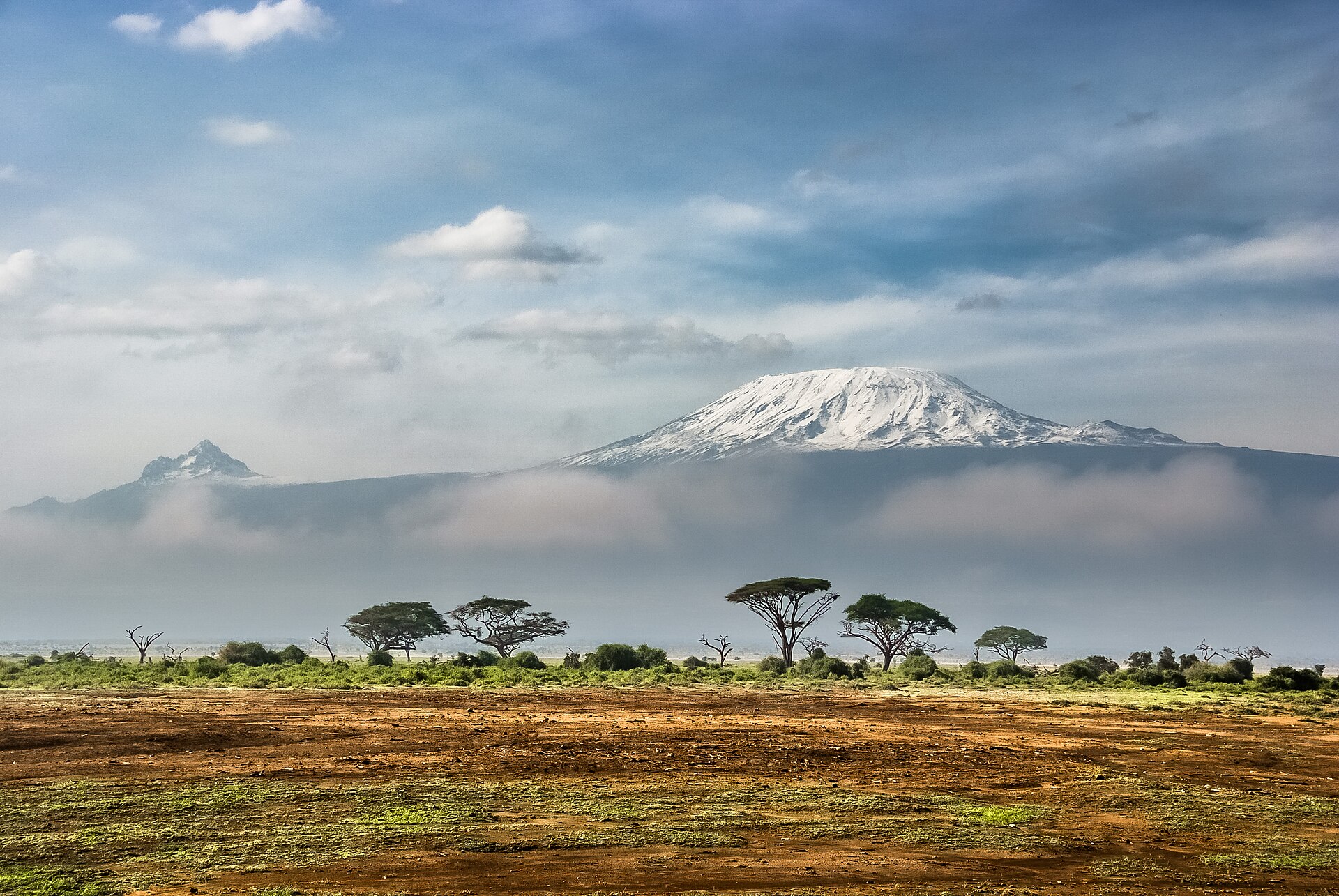 Tanzaniyada qarlı Kilimancaro dağı və savanna — Tanzaniya vizası